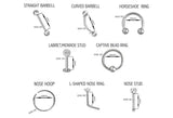 Male Genital 14G 12G 10G 8G 6G 4G 2G Horseshoe Circular Vibrating Doorknocker Jewelry Hafada Frenum Prince Albert Lorum Guiche Kings Crown Hoop - I Love My Piercings!