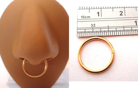 Yellow Gold Titanium Segment Septum Nose Ring Hoop 16g 16 gauge 12 mm diameter - I Love My Piercings!