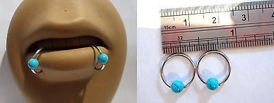 Blue Turquoise Surgical Steel Snake Bites Bottom Lip Rings Hoops 16 gauge 16g - I Love My Piercings!