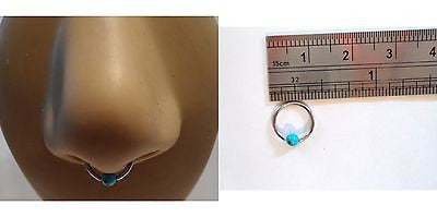 Surgical Steel Turquoise Bead Captive Nose Septum Ring Hoop 16g 16 gauge - I Love My Piercings!