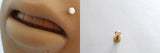 GOLD TITANIUM Clear CZ Crystal Monroe Lip Ring Stud Post Barbell 16 gauge 16g - I Love My Piercings!