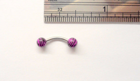 Surgical Steel Purple Tiger Stripe Curved Barbell Post Ring Stud 16 gauge 16g - I Love My Piercings!