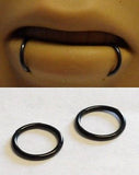 BLACK Segment Seamless SNAKE BITES Lip Hoops Rings 16g 16 gauge 8mm Diameter - I Love My Piercings!