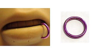 PURPLE TITANIUM Lip Side Hoop Seamless Segment Bottom Ring 14 gauge 14g 10mm - I Love My Piercings!