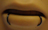 BLACK Segment Seamless SNAKE BITES Lip Hoops Rings  14g 14 gauge 8mm Diameter - I Love My Piercings!