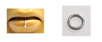 Silver Segment Labret Hoop Lip Ring 16 gauge 16g 8mm - I Love My Piercings!