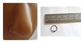 Purple Titanium Sterling Silver Nose Jewelry Stud HOOP Ring 22 gauge 22g 9mm - I Love My Piercings!