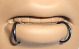 BLACK Segment Seamless SNAKE BITES Lip Hoops Rings 16g 16 gauge 10mm Diameter - I Love My Piercings!
