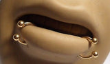 Gold Titanium Lip Rings Snake Bites Half Hoop Horseshoe 16 gauge 16g - I Love My Piercings!
