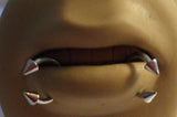 Surgical Steel Horseshoes Spiked Spikes Snake Bites Lip Rings 14 gauge 14g - I Love My Piercings!